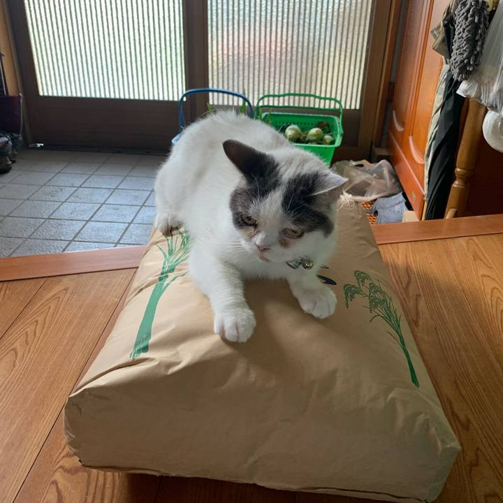 43b47385 f7bf 457e bffd 55134ac0c563 1690675221498