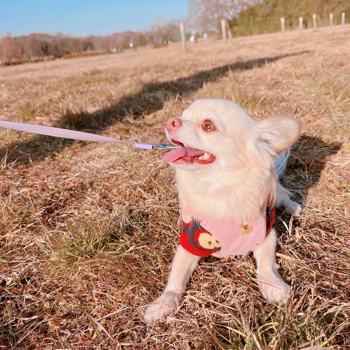 43b4b674 266b 4c6d 9592 b183cc70610e 1673250491453