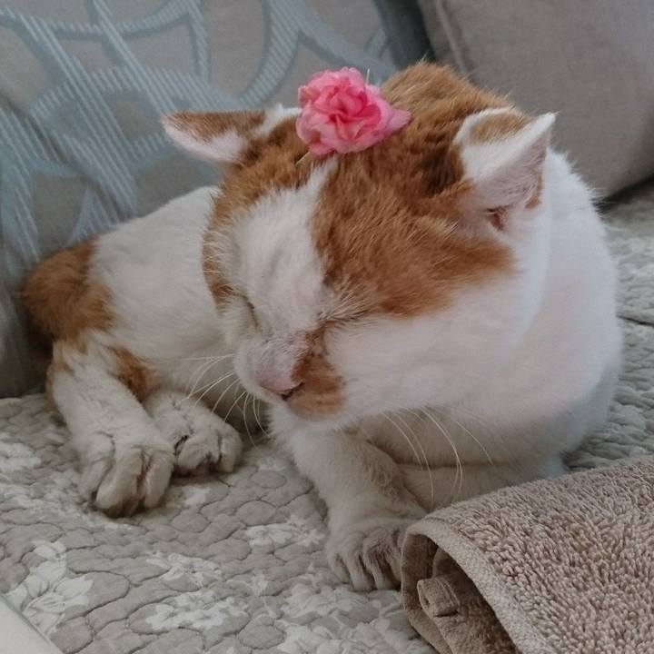 43b4d203 6804 4e0c 992f 9598ed969e48 1629280049935