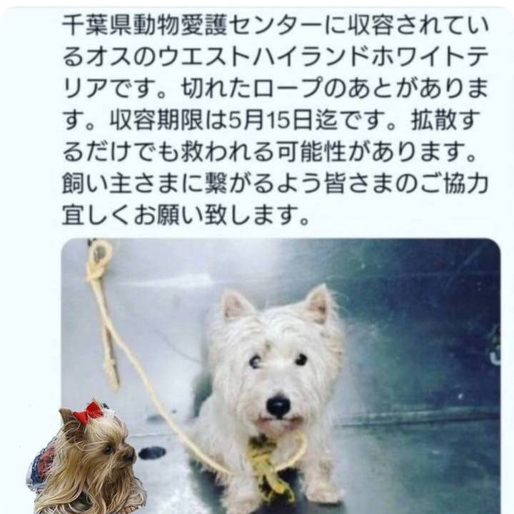 43b4e211 37ea 466f b60d 2f4fb6d63e75 1684068601918