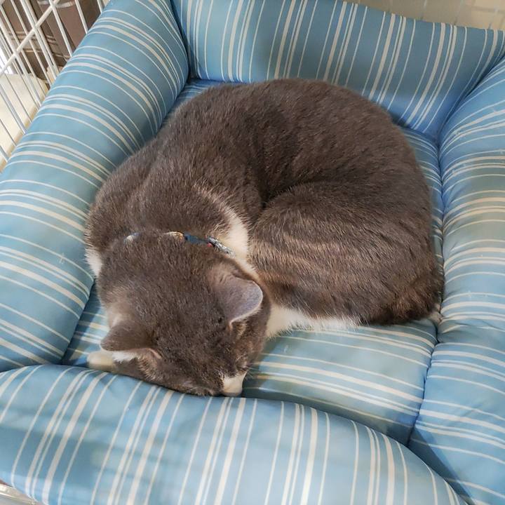 43b4e3cd b5aa 4037 8ee1 f8dace7e0144 1682514172555