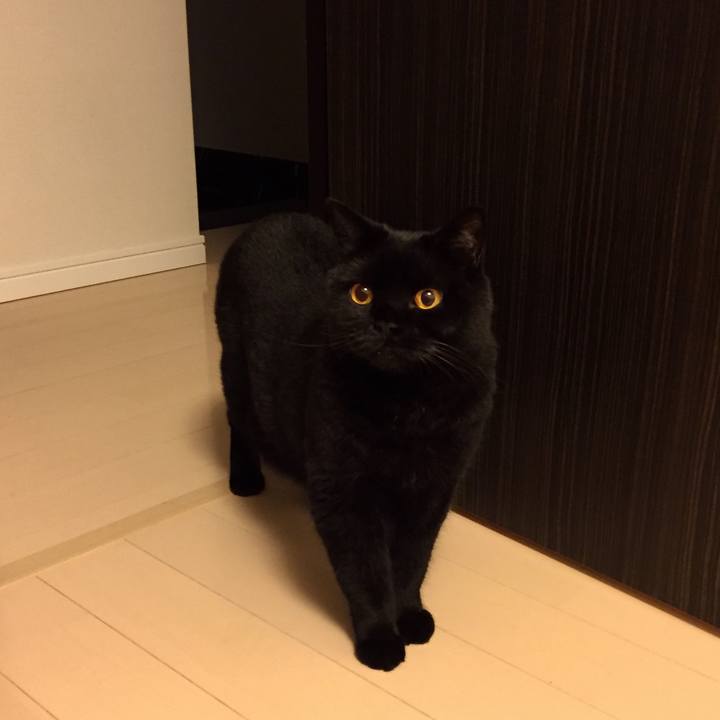 43b4e4da c447 4699 8240 abee589ddf41 1593519454349