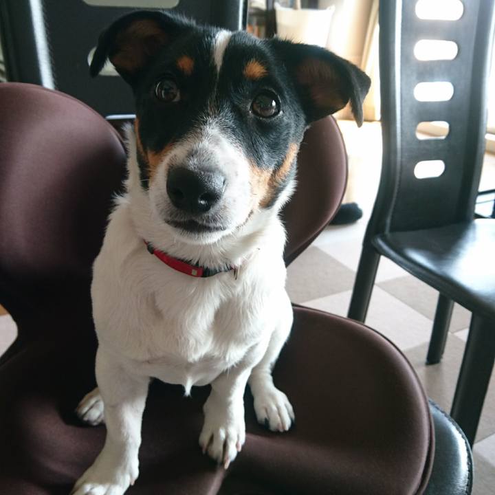 43b5368b 672c 4eda 914c 88f263bd3c8a 1521636999905