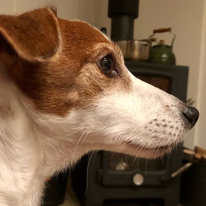 43b5554c 064e 4e5c afb7 43d3da6ea5a8 1739262545037