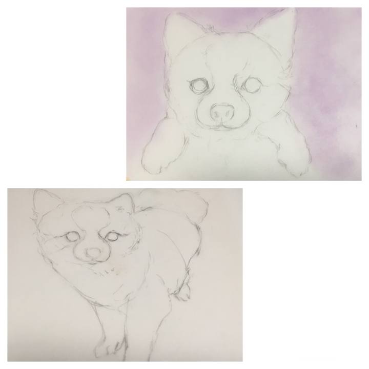 43b57ead 03e6 4e3b 952e 58ff2fe3b53d 1609852675852