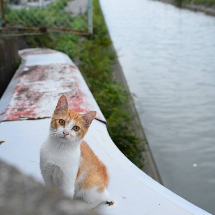 43b589bf e1aa 470c b3c7 500196d624e8 1536232160997