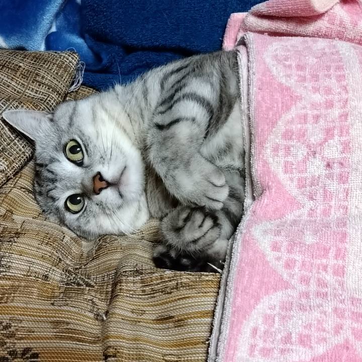 43b591c0 f97e 4834 9466 27e36f4b74e9 1623667717181