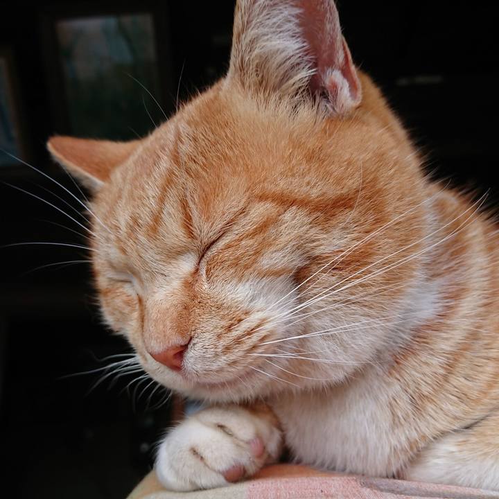 43b5ce7f df1a 480d bea8 448b6b090596 1582353876756