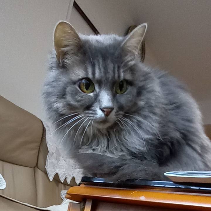 43b5e461 6f56 4482 94b6 69a6b968a982 1605137636210