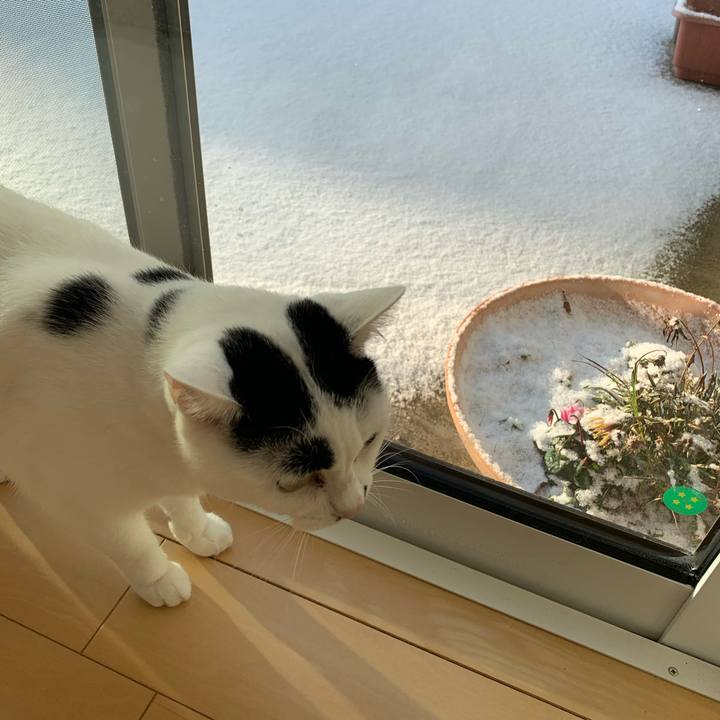 43b61f55 1946 4957 ba6a 4ac0ed110b97 1573945473741