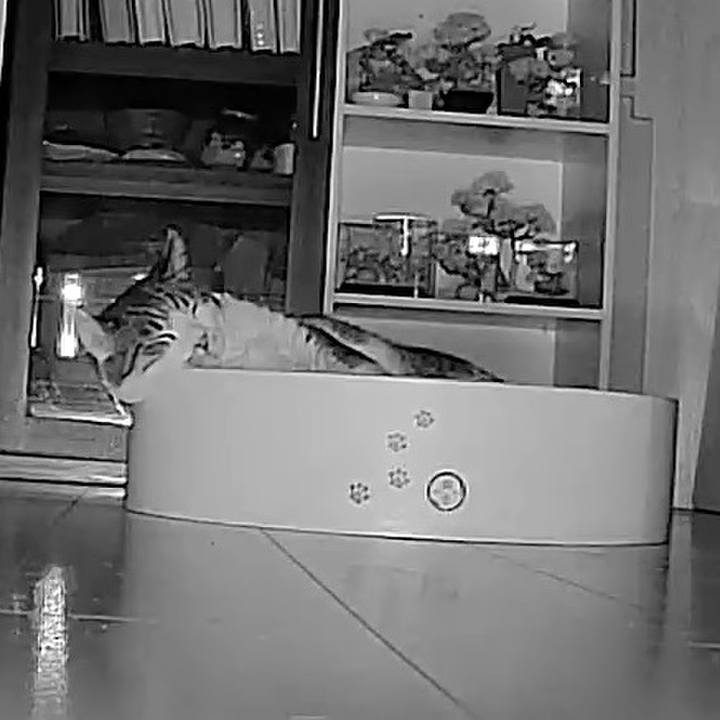 43b63f03 febb 4b98 9db9 41147fc93675 1757650064909