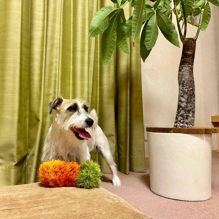 43b68430 6986 4a2f b82e f24f91679098 1701805400031