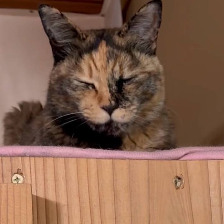 43b695e7 f0f6 48cd b00b da8270d77914 1780233882733