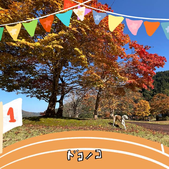 43b6bb76 c9d1 4e3c 86a3 0f4d55333821 1762416779534