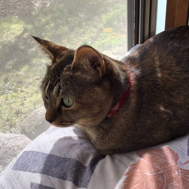 43b72129 59aa 4d75 9128 f60bc63e72fe 1616550637428