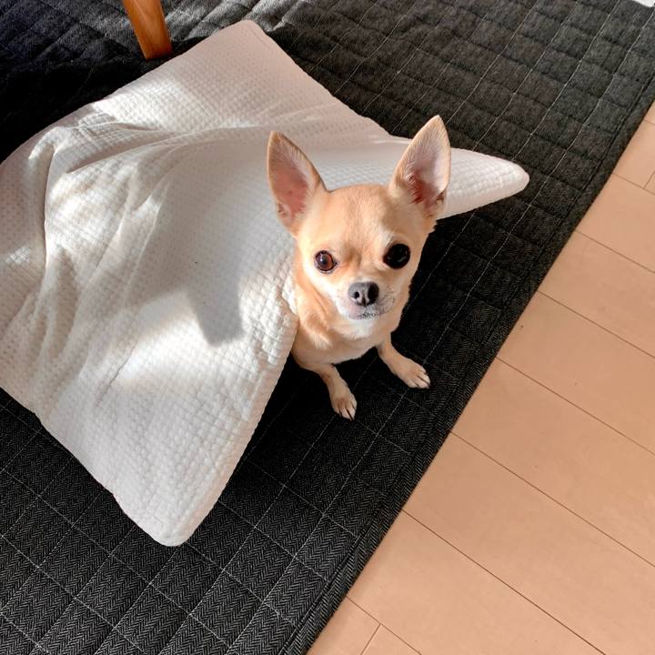 43b74fe8 0ba4 4af4 8770 d7f58080cc24 1610239719242