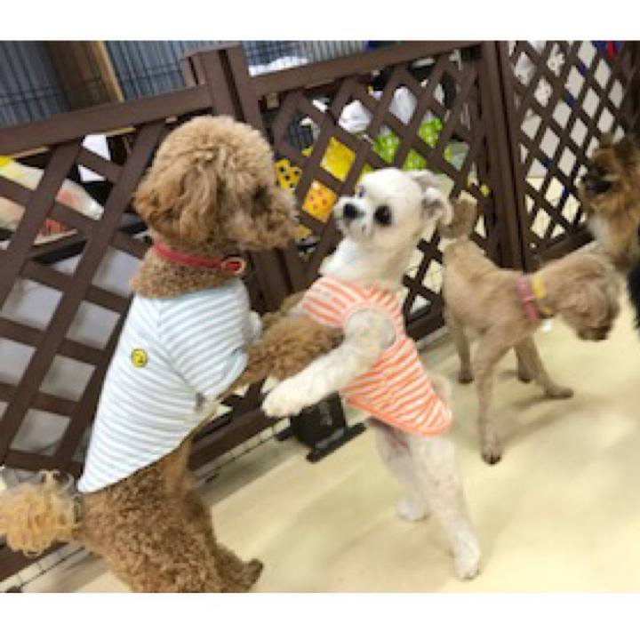 43b76180 2714 40e5 83c0 ea43a9bc24e8 1523362904490