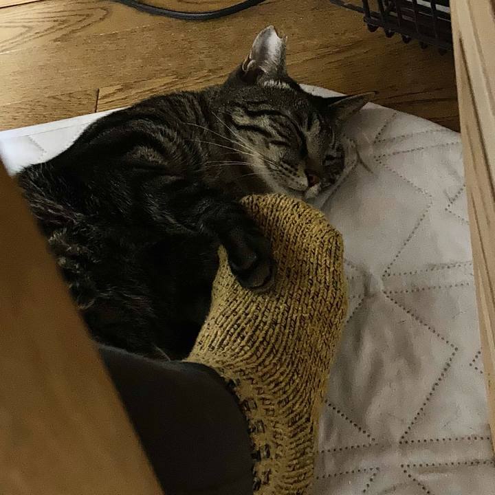 43b778de fa42 4d51 9a0e cd1b34aa34e3 1670798964686