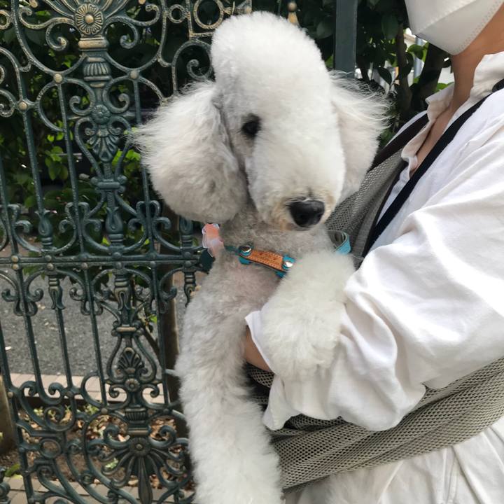 43b7b2dc b756 4e76 a69a 607a60042381 1656227505275