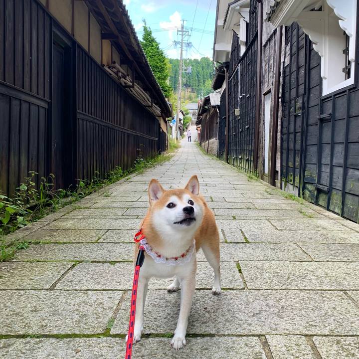 43b7bf96 f14b 4f91 ac66 d352453168b7 1662892516374