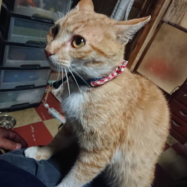 43b7d08d 8c6d 4817 b61d 6d1f4241c51f 1559298003160