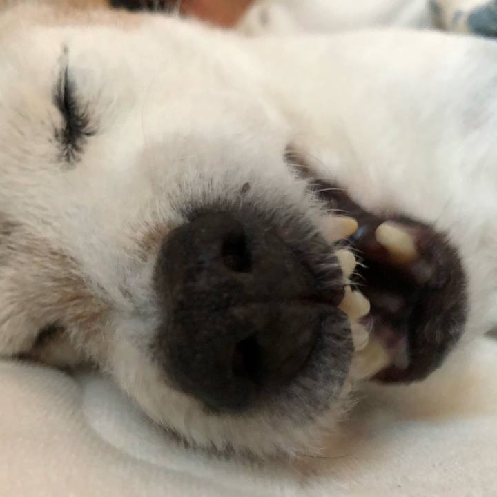 43b7f72f 92b8 4e28 94ca 97b5a5d5acdc 1519733806243