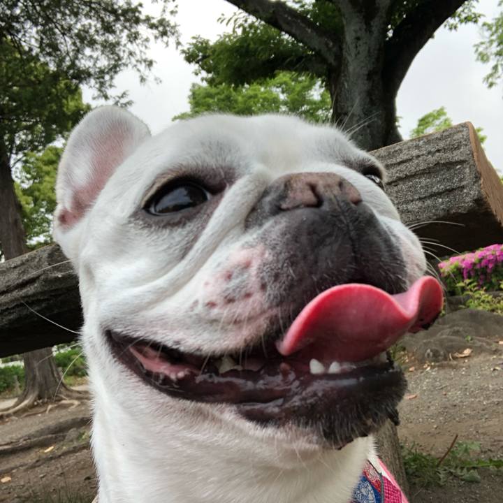 43b7fc66 6253 4fcf 9b7d 7dbd65d6ff2e 1557625559153