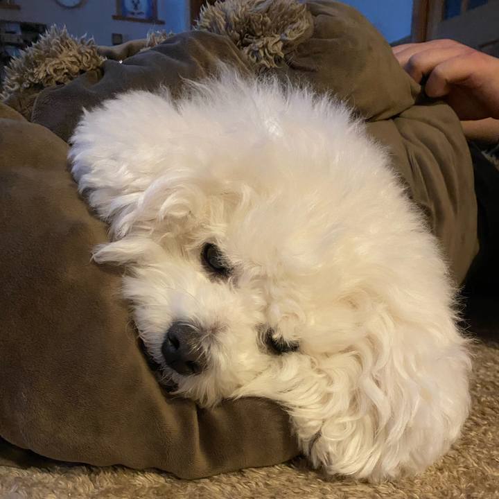 43b800ed 948b 4a94 9c69 0b3162d1af0d 1640590944913