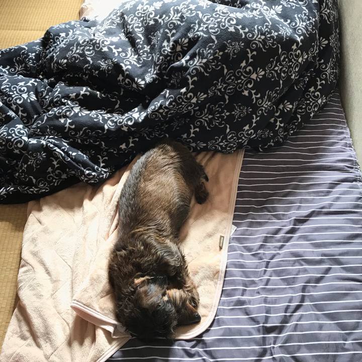 43b814c6 ed79 471f 92a3 a49e2452e6fb 1550372138698