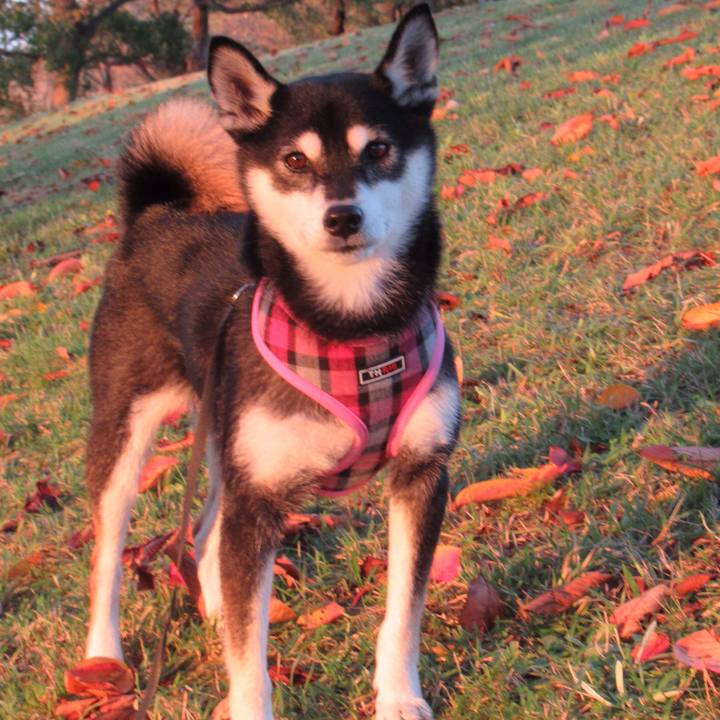 43b82728 8978 4ff0 8e25 ad2167d8a411 1540462412020