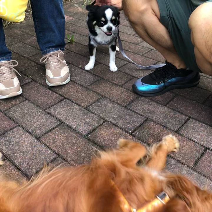 43b86ca5 7a79 4f68 bac9 d82f58063343 1625405812353