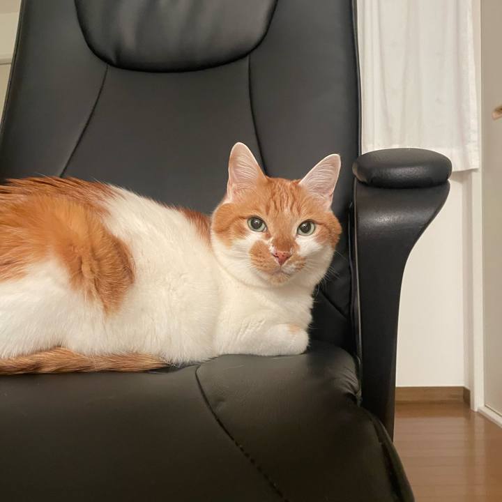 43b8aa1e bace 46ab 9380 4556e8cc776d 1732882597743