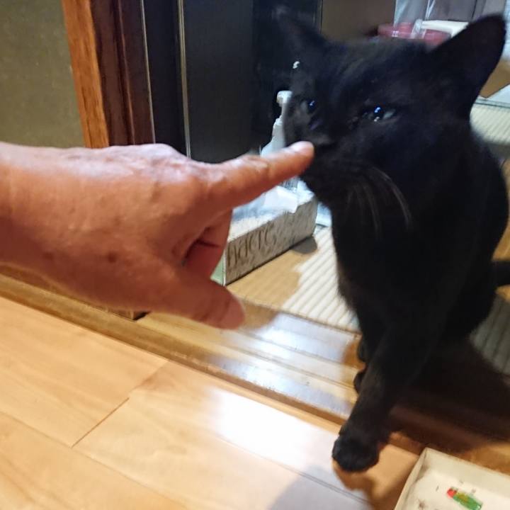 43b8bae8 0e11 4c4b a833 0ee3206e06b9 1627814351247