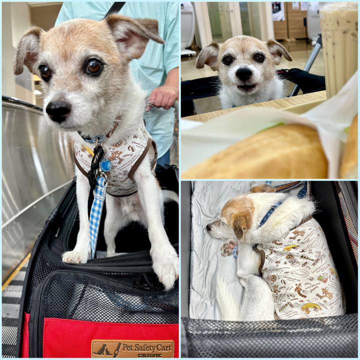 43b8c3d8 b7e9 4cbd a478 96f174d5aad2 1692407716687