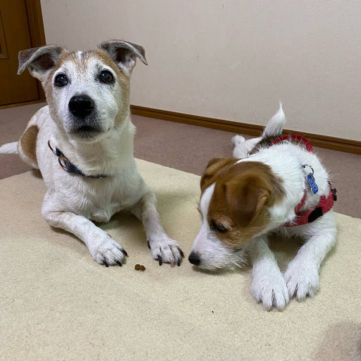 43b8ffd2 47f8 45b7 83a8 fb4abad34351 1619683135819