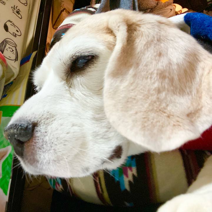 43b908ea 3bb6 4a11 83e8 e69f0381cd53 1668516008750