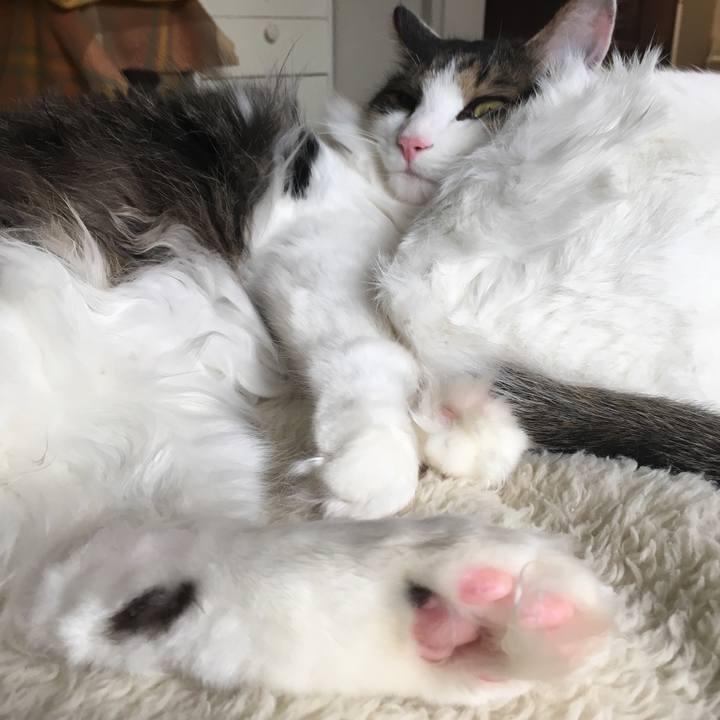 43b90d20 9d58 4eaa 8314 2800c9305741 1512133312182