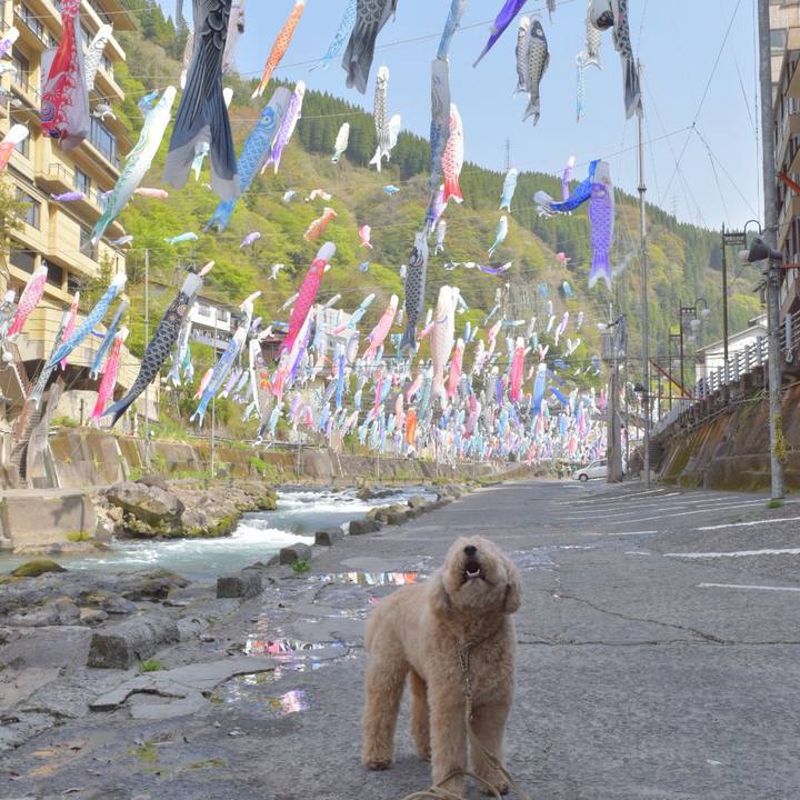 43b92b14 0fae 4a0b a8e4 3d10c07e1fd9 1555411283310