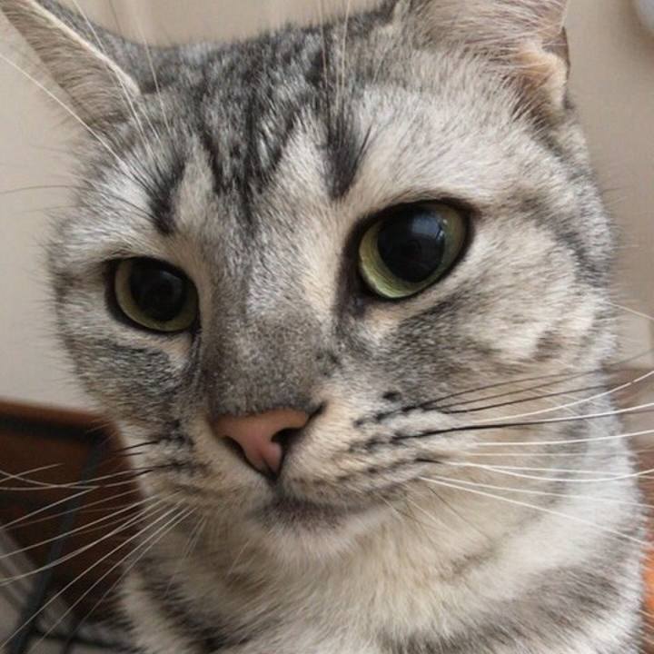 43b942cd 7894 4e05 886a 48d881a4c79e 1541223427491