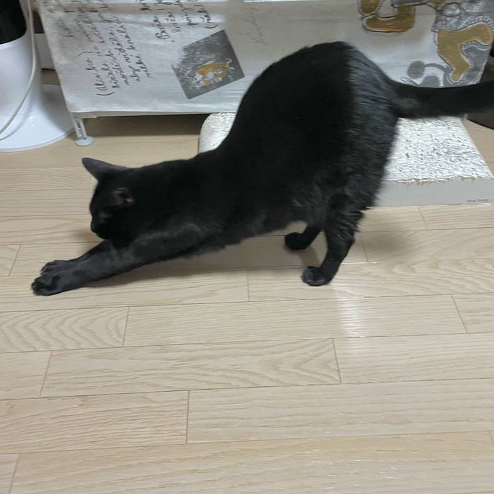 43b9715a 12cd 471c a42e a589c0fdf0b1 1731845806589