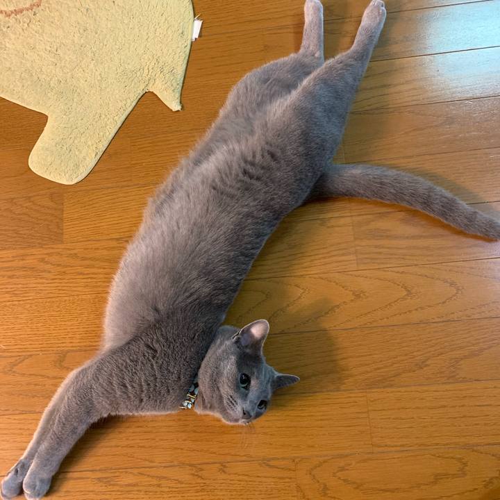 43b99b55 6113 436c 97d0 c5c9bdd7c6c9 1583572652220