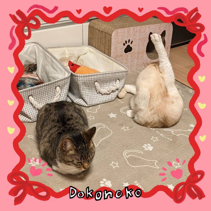 43b9a61b 0904 417f a7db 338412da79ef 1706774924243