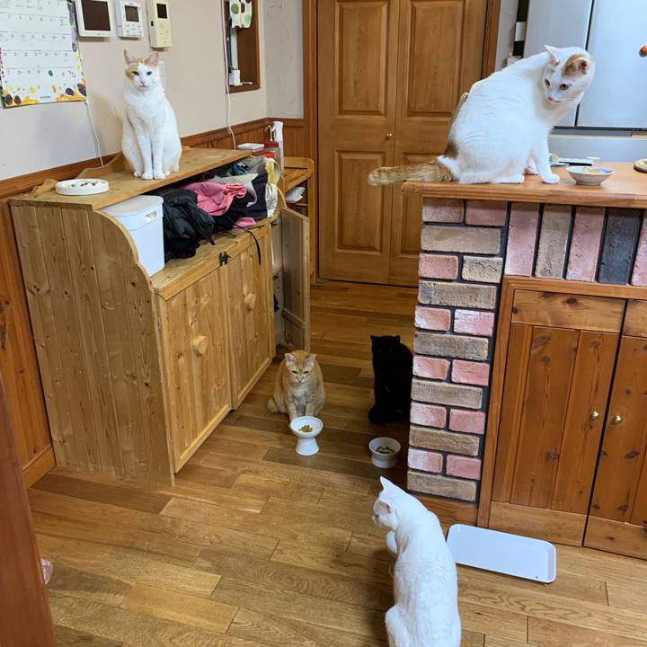 43b9c300 19cc 44a8 8214 d4f4cf82bf90 1668462856911