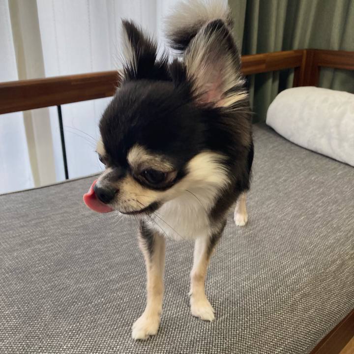 43b9e102 53c6 4249 9848 538f224c1c55 1627185434005