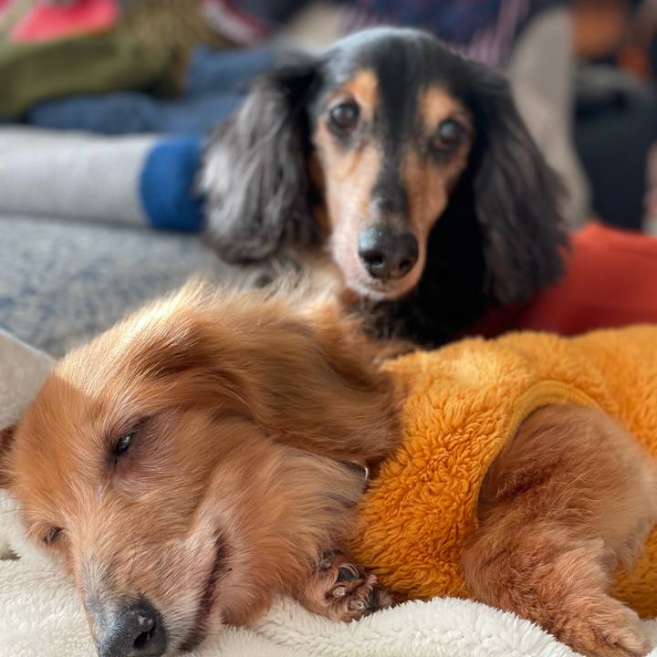 43ba6cd1 6734 4ea9 a59a b488574a72cc 1677855810780