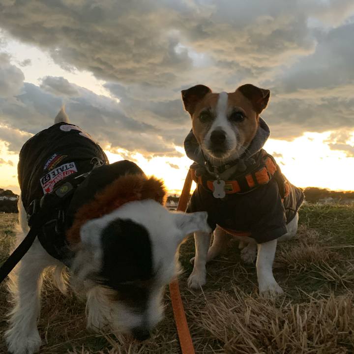 43ba83af 1c6b 42a7 98d5 707781ea088a 1608194292228