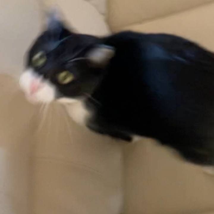 43baaf54 afa3 4729 9b6a f1ebe95fc8de 1640836728463