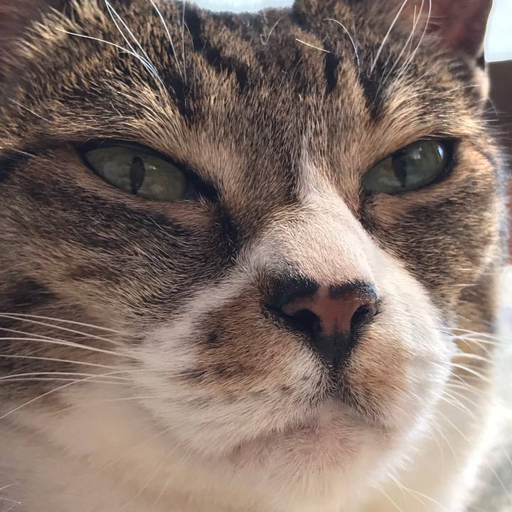 43bac0de c8cc 4364 ba1b bf237008555e 1526261684411