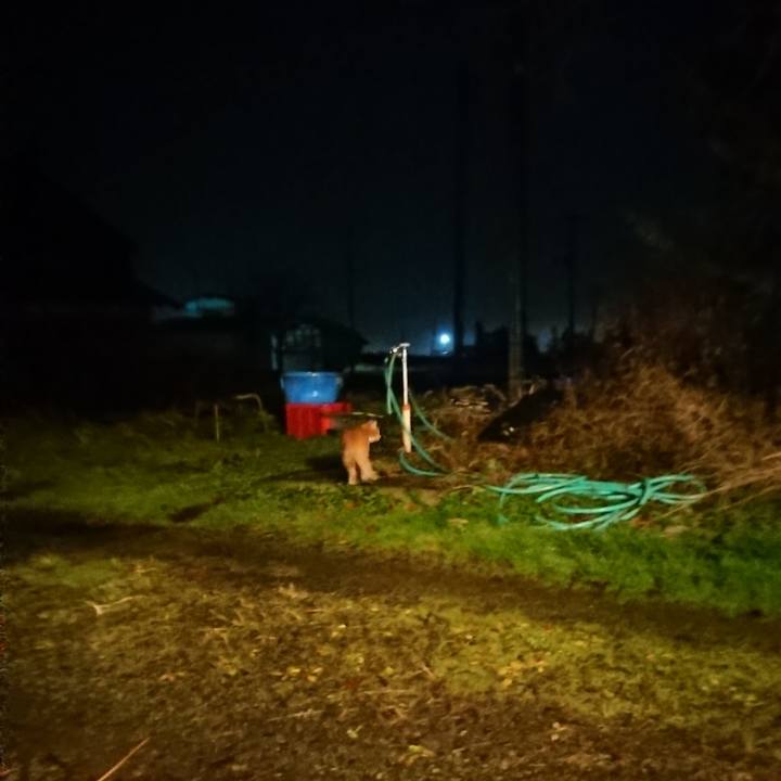 43bb5cd3 9531 403d 9444 8f60ed312b67 1606556107180