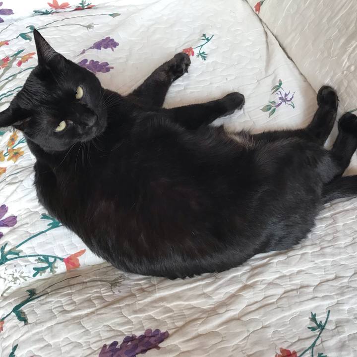 43bb65d1 94d4 4170 9272 04fa094084ce 1649712283922